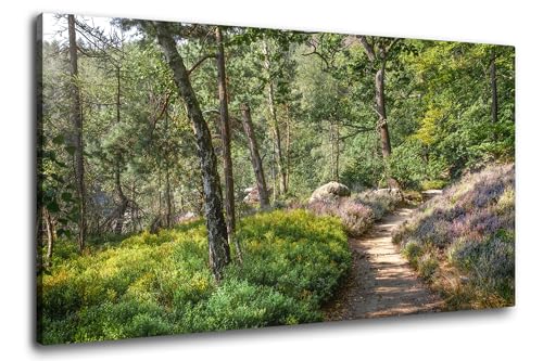 Via Artis Leinwandbild - 100x50 cm XXL Format - Premium Wandbilder für Wohnzimmer & Schlafzimmer - Wald grün Bäume - Sonnenlichter im Waldpfad von Via Artis