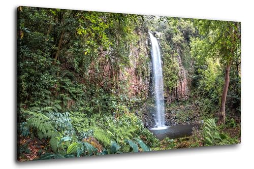 Via Artis Leinwandbild - 100x50 cm XXL Format - Premium Wandbilder für Wohnzimmer & Schlafzimmer - Wald grün Bäume - Waldlichtung am Wasserfall von Via Artis