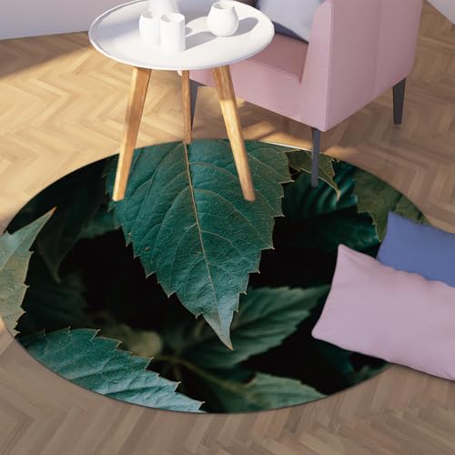 Via Vela Große runde Teppiche im Landhausstil 200cm botanisches Blattmuster waschbarer Rutschfester dünner Teppich für Klassenzimmer Kleinkind Kinderzimmer Dekor Matten Via Vela Große runde Teppiche im Landhausstil 200cm botanisches Blattmuster waschbarer Rutschfester dünner Teppich für Klassenzimmer Kleinkind Kinderzimmer Dekor Matten von Via Vela