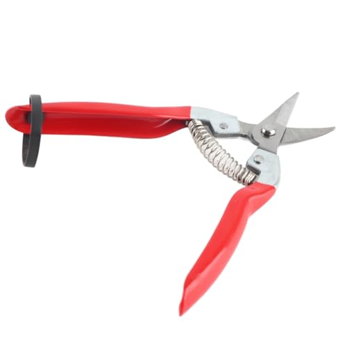 1 Stück Robuste Gartenschere Obstbaum Rose Bonsai Garten Schere Gartenschere Werkzeug Schere Gartenschere Werkzeug Professionelle Rote Outdoor Schere Clippers (Gebogene Klinge),Gartenschere / von ViaGasaFamido