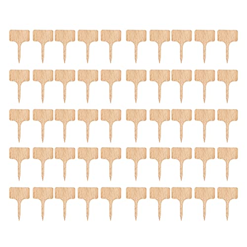 ViaGasaFamido 50pcs Pflanzenetiketten, T Typ Holz Pflanzenschild mit Elegantem Design für Saatgutstopfblumen Gemüse für Heimgärten Kommerzielle Landschaften ViaGasaFamido 50pcs Pflanzenetiketten, T Typ Holz Pflanzenschild mit Elegantem Design für Saatgutstopfblumen Gemüse für Heimgärten Kommerzielle Landschaften von ViaGasaFamido