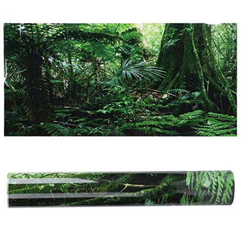 ViaGasaFamido Aquarium Poster, PVC Reptilien Terrarium Regenwald Hintergrund Poster Aquarium Wandbild Malerei Verdicken Dekoration Selbstklebende Aufkleber(122×46cm) von ViaGasaFamido