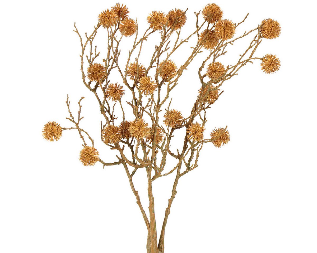 Künstliche Zimmerpflanze Dekozweig Amberbaum mit naturgetreuen Baumfrüchten für Herbstdeko, Viana, Höhe 2.5 cm von Viana