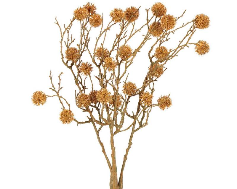 Künstliche Zimmerpflanze Dekozweig Amberbaum mit naturgetreuen Baumfrüchten für Herbstdeko, Viana, Höhe 2.5 cm von Viana