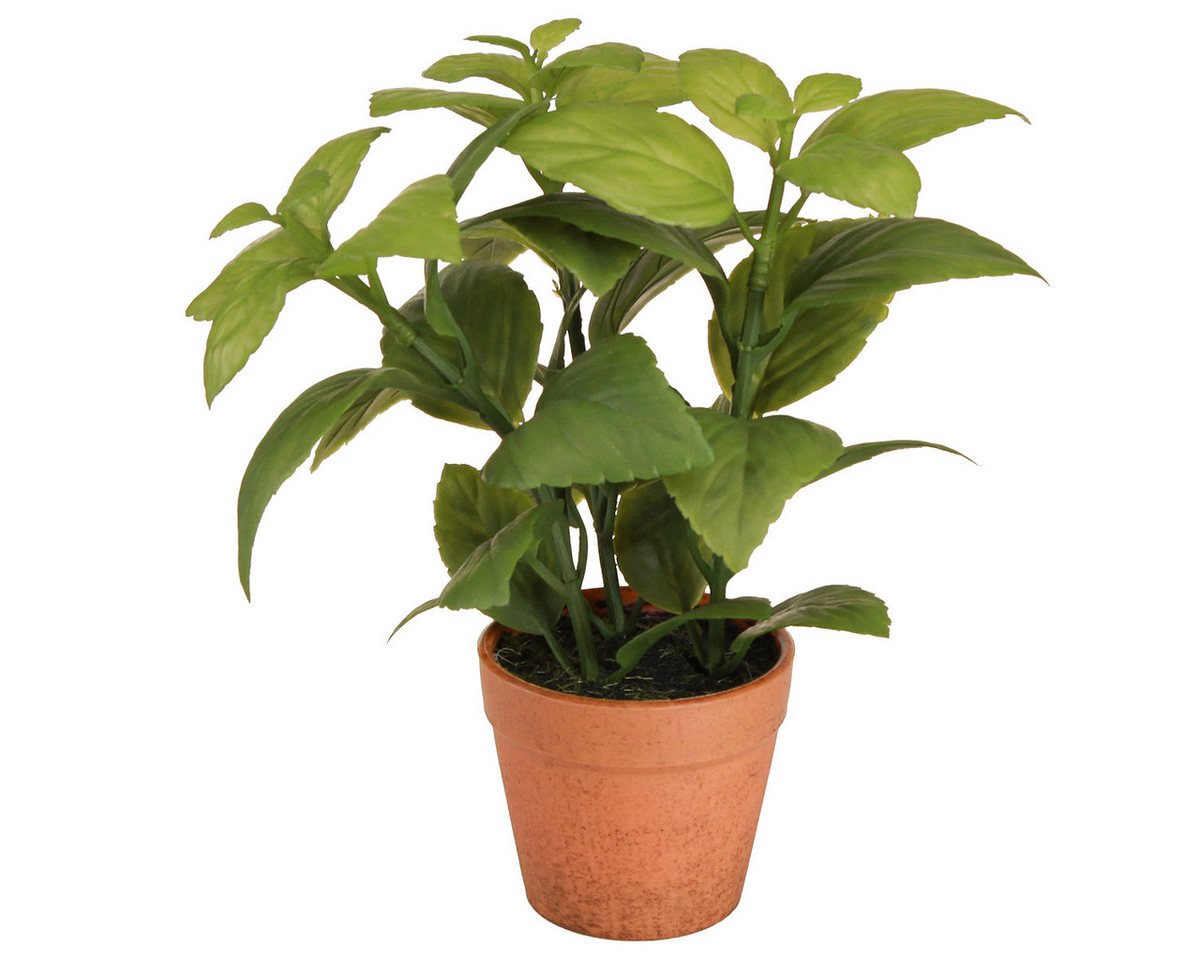 Künstliche Zimmerpflanze Künstlicher Basilikum Kräutertopf Dekoration 22cm 2er Set, Viana von Viana