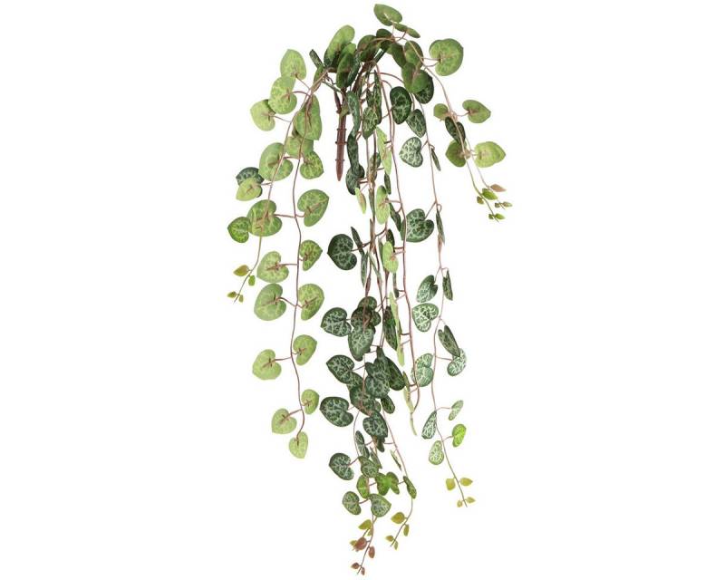 Künstliche Zimmerpflanze Leuchterblume Künstliche Hängepflanze 40cm Deko Zimmerpflanze 2er-Set, Viana von Viana