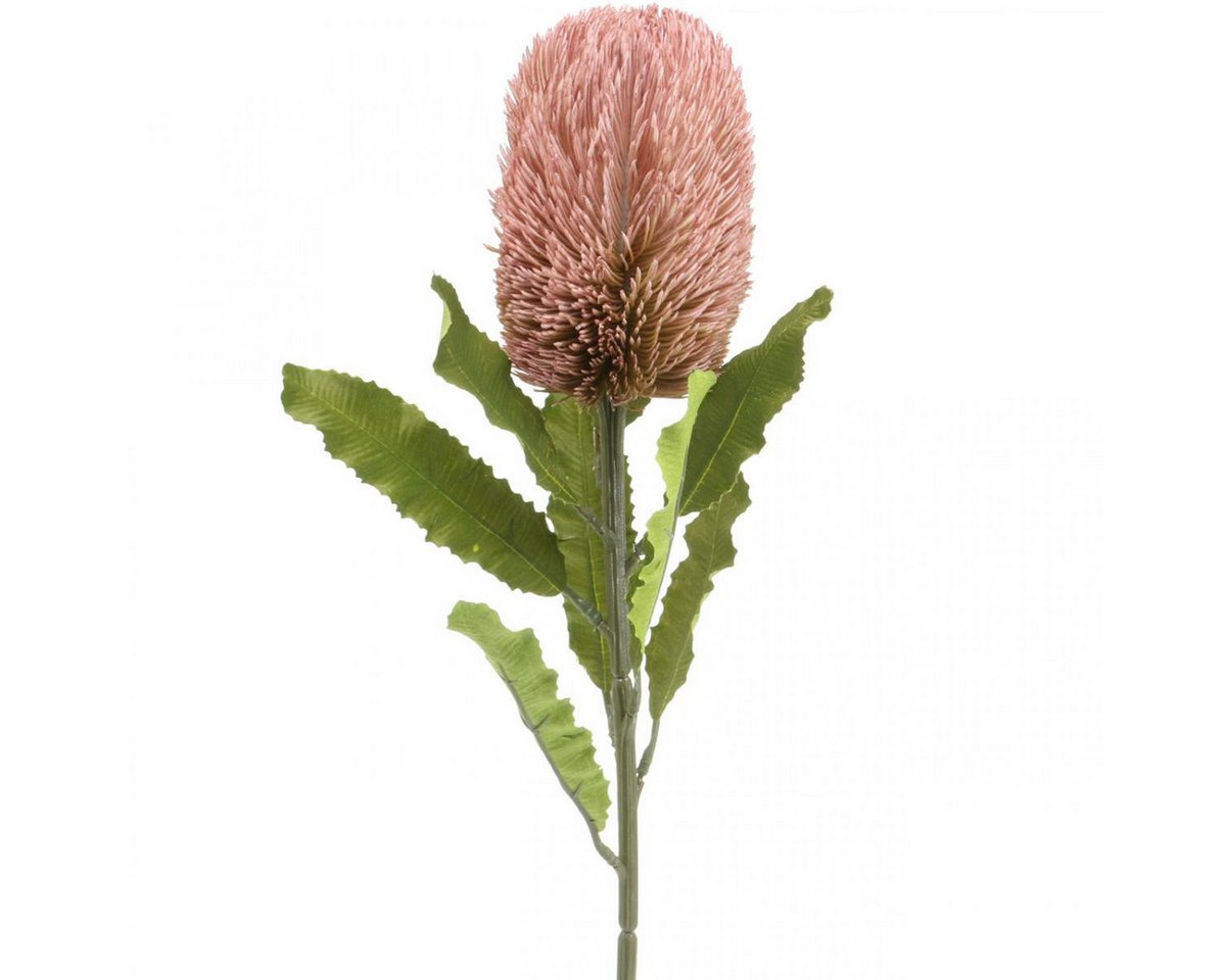 Kunstblume Kunstblume Banksia für Herbstdeko und Gedenkfloristik, Viana, Höhe 12 cm von Viana