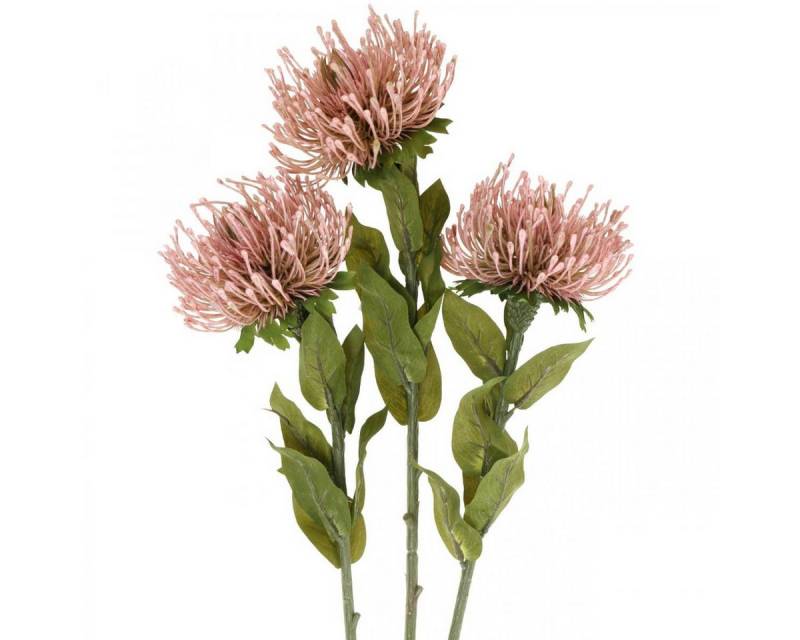 Kunstblume Rosa Protea Nadelkissen Deko Leucospermum Kunstblume 73cm 3er-Set, Viana, Höhe 10 cm Kunstblume Rosa Protea Nadelkissen Deko Leucospermum Kunstblume 73cm 3er-Set, Viana, Höhe 10 cm von Viana