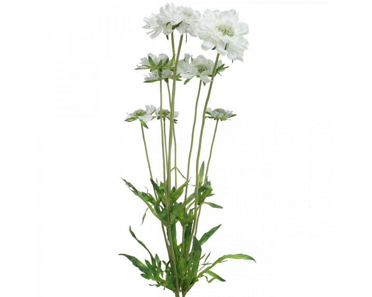 Kunstblume Skabiose Kunstblume Weiß 64cm Bund 3 Stiele Deko Seidenblumen, Viana, Höhe 32 cm von Viana