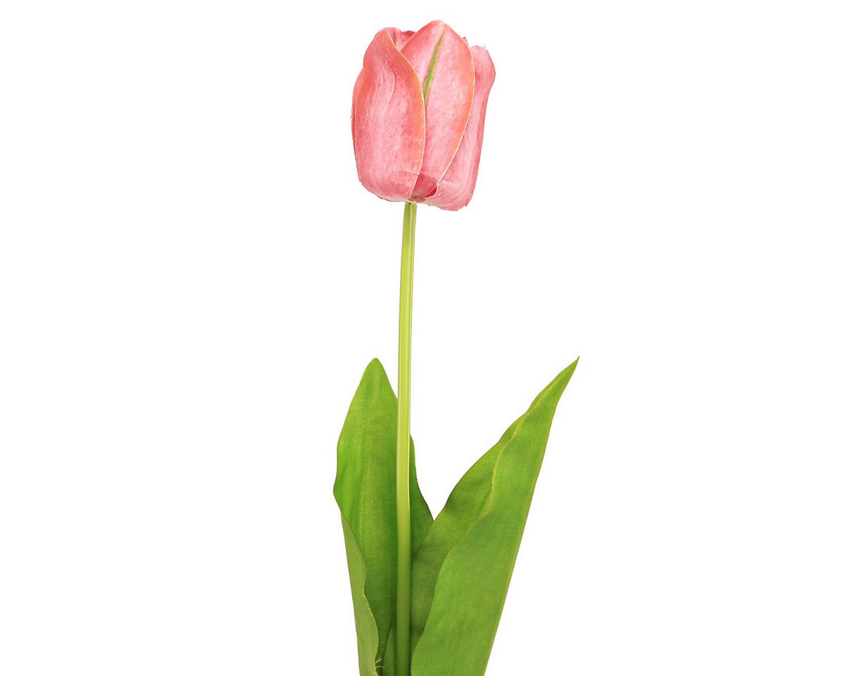 Kunstblume Tulpe Kunstblume Dekoration Frühlingsdeko für Vase und Tisch, Viana, Höhe 67 cm Kunstblume Tulpe Kunstblume Dekoration Frühlingsdeko für Vase und Tisch, Viana, Höhe 67 cm von Viana