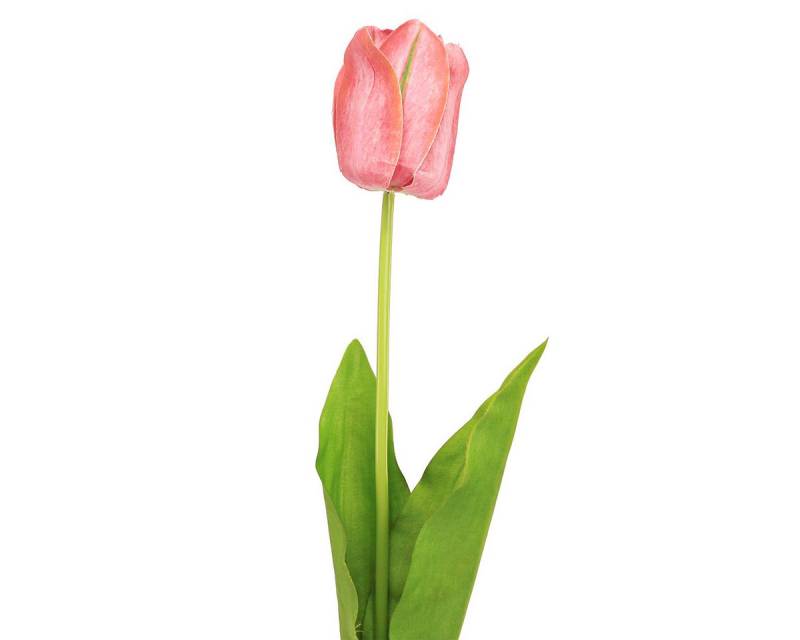 Kunstblume Tulpe Kunstblume Dekoration Frühlingsdeko für Vase und Tisch, Viana, Höhe 67 cm von Viana