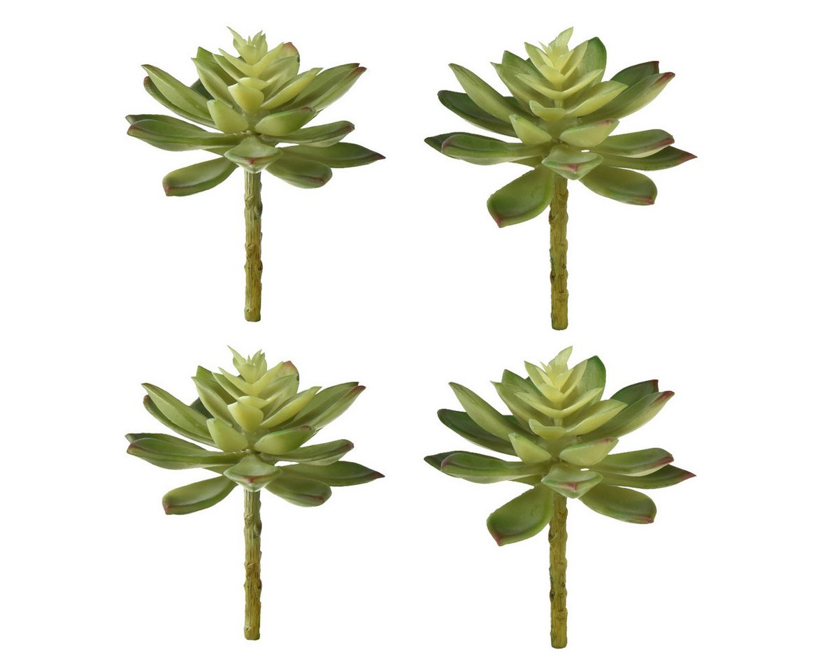 Kunstkaktus Künstliche Sukkulenten Hauswurz Kunstpflanzen Set Grün Deko Steinrose, Viana, Höhe 14 cm von Viana