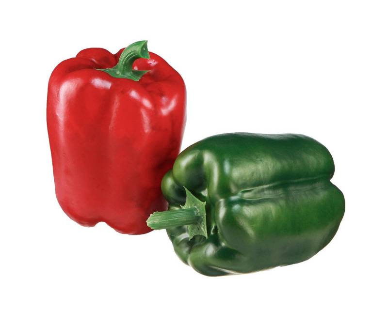 Kunstpflanze Paprika Deko Rot Grün Künstlich Dekoration Netz Ø8cm H11,5cm 4 St, Viana, Höhe 11.5 cm Kunstpflanze Paprika Deko Rot Grün Künstlich Dekoration Netz Ø8cm H11,5cm 4 St, Viana, Höhe 11.5 cm von Viana