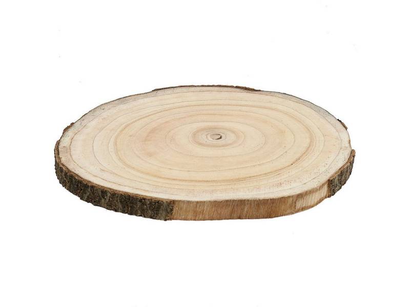 Trockenblume Baumscheibe Blauglockenbaum Natur Ø30-35cm DIY Holzscheibe Paulownia, Viana von Viana