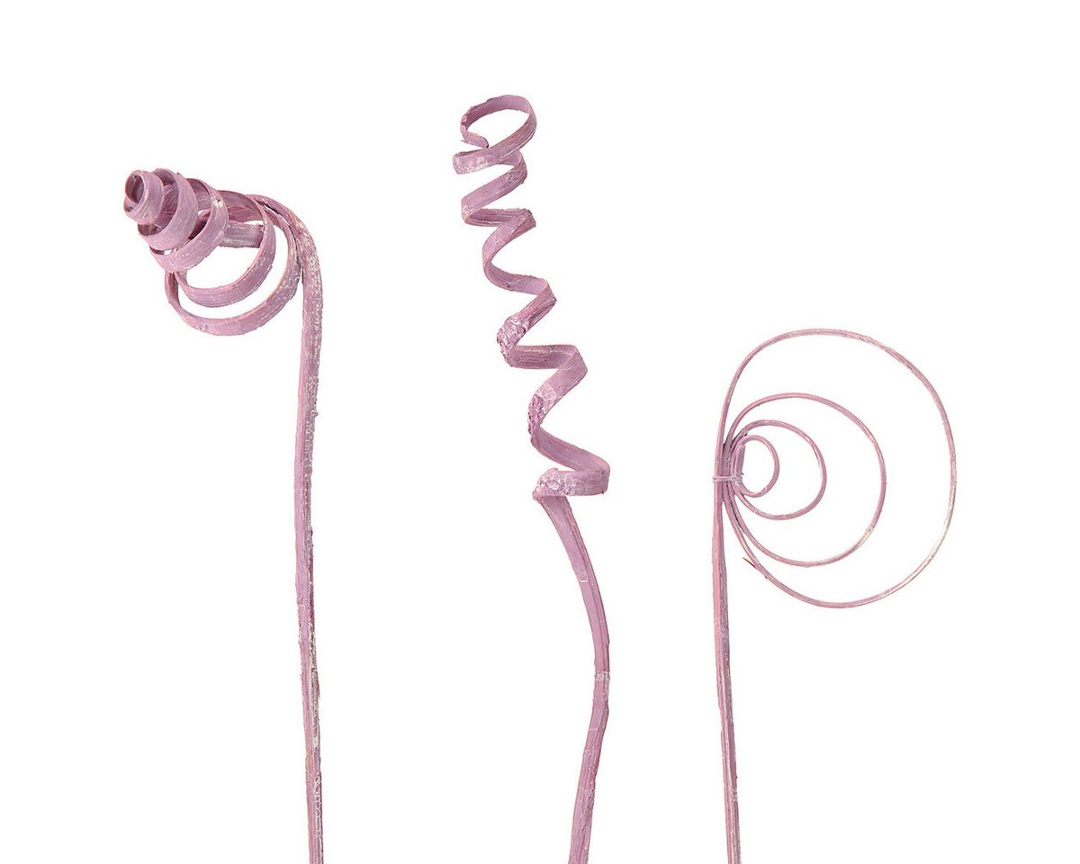 Trockenblume Dekoratives Cane Sortiment für kreative Floristik, Viana, Höhe 7 cm von Viana