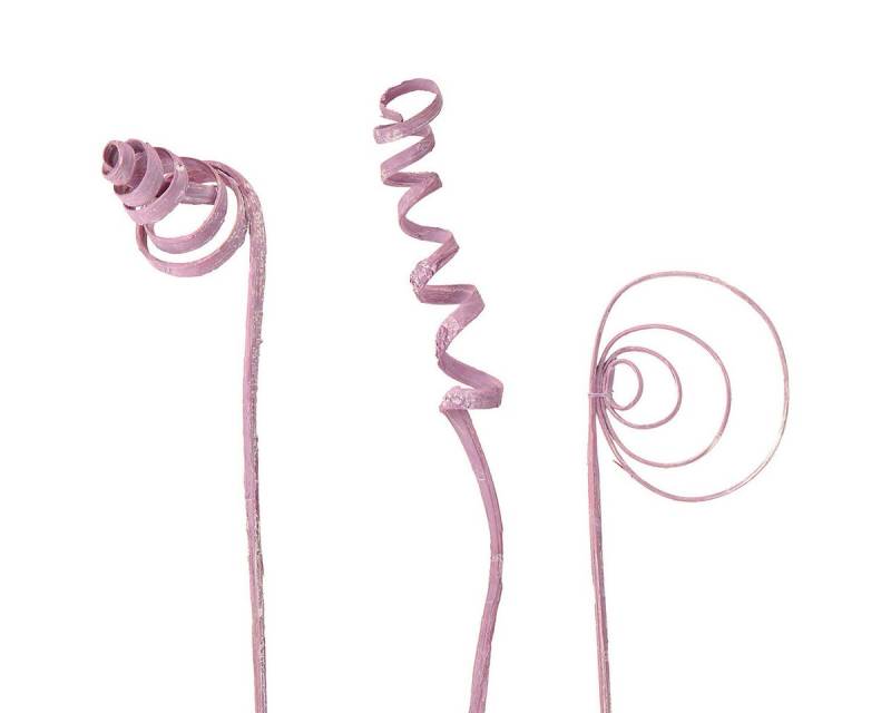 Trockenblume Dekoratives Cane Sortiment für kreative Floristik, Viana, Höhe 7 cm Trockenblume Dekoratives Cane Sortiment für kreative Floristik, Viana, Höhe 7 cm von Viana