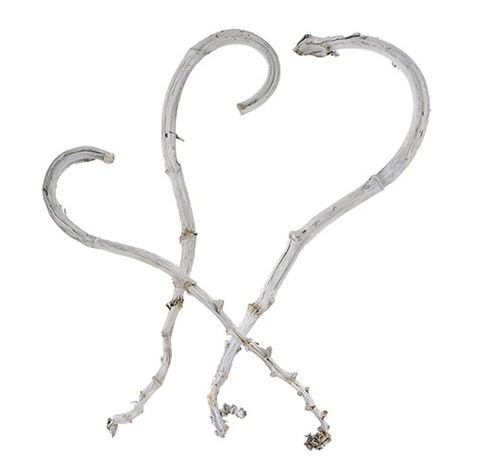 Trockenblume Exotische Dekozweige gebogen für kreative Gestaltung, Viana, Höhe 2 cm von Viana