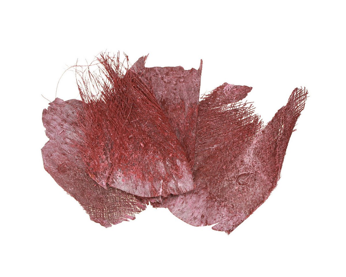 Trockenblume Palmfaser Deko Bastelmaterial für kreative Heimideen, Viana von Viana