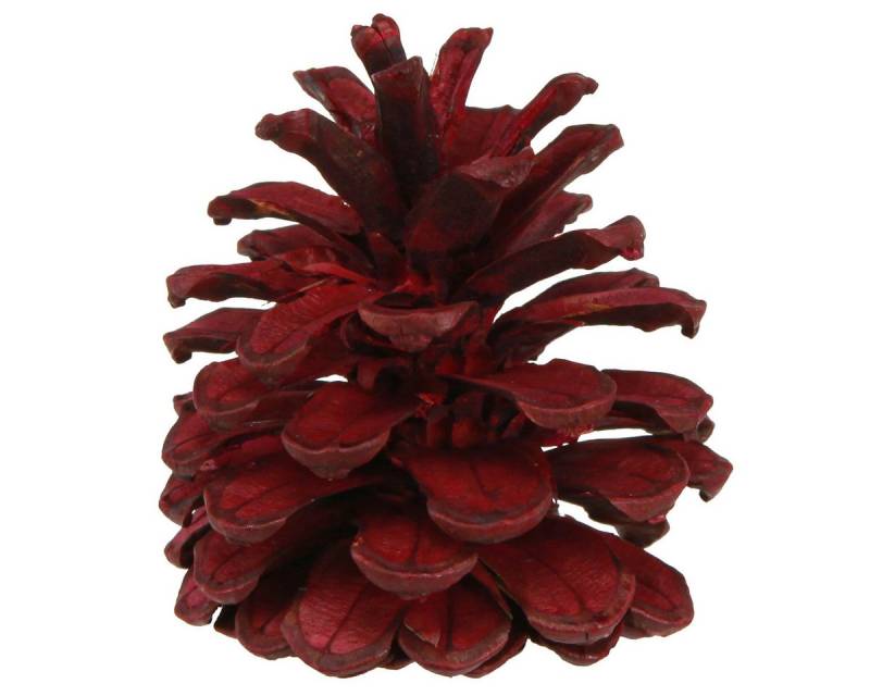 Trockenblume Schwarzkiefern Deko Zapfen Rot Bordeaux 6-8cm Weihnachten 6 Stk, Viana, Höhe 8 cm Trockenblume Schwarzkiefern Deko Zapfen Rot Bordeaux 6-8cm Weihnachten 6 Stk, Viana, Höhe 8 cm von Viana