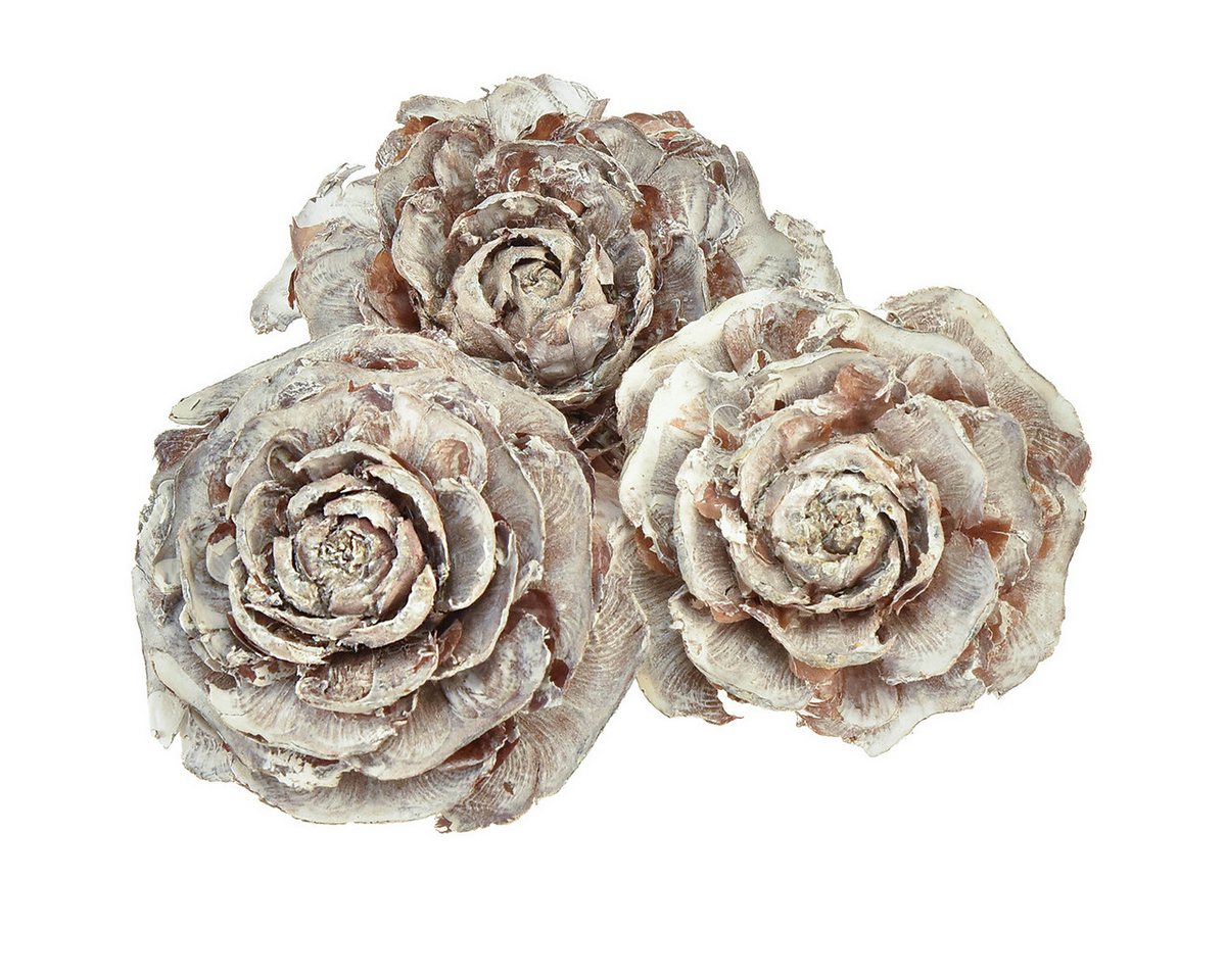Trockenblume Zedernzapfen Rosenform 4-6cm Weiß/Natur 50 St., Viana von Viana