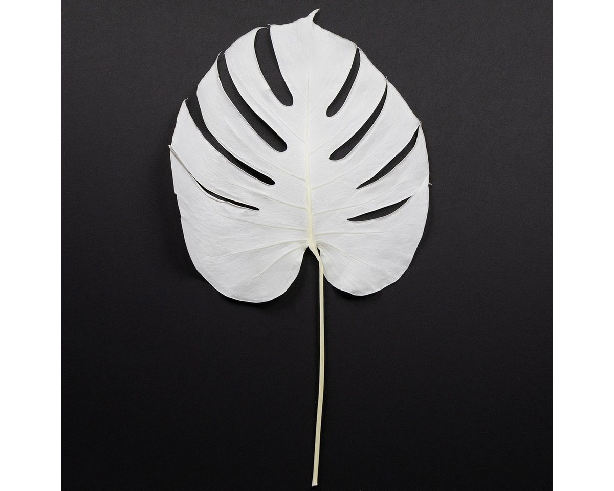 Viana Bastelnaturmaterial Gebleichte künstliche Monstera-Deko für elegante Tisch- und von Viana