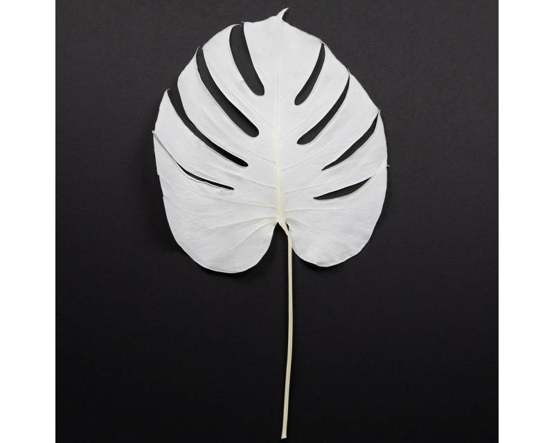 Viana Bastelnaturmaterial Gebleichte künstliche Monstera-Deko für elegante Tisch- und von Viana