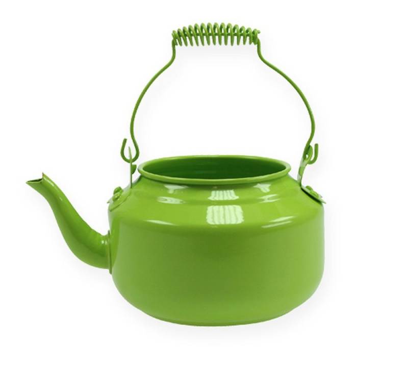 Viana Gießkanne Dekorative Teekanne als Blumenvase Nostalgie-Retro Stil von Viana