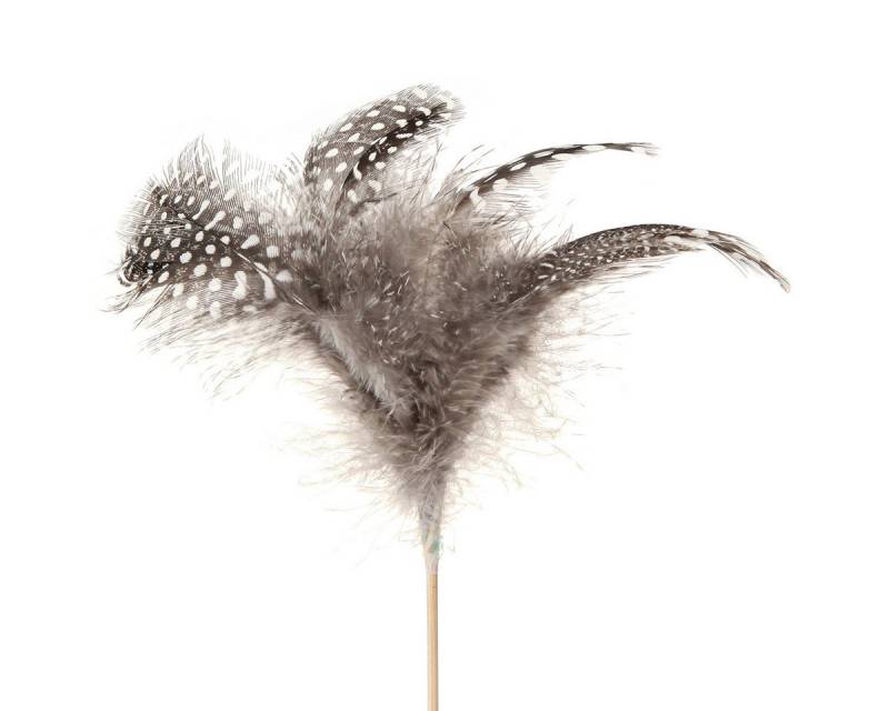 Viana Osterfigur Deko Federn Perlhuhn gepunktet am Stab Natur 35cm 12 Stk von Viana