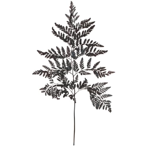 Viana Schwarze Echte Farnwedel 45cm 10 St - Dekoration Eleganz Viana Schwarze Echte Farnwedel 45cm 10 St - Dekoration Eleganz von Viana