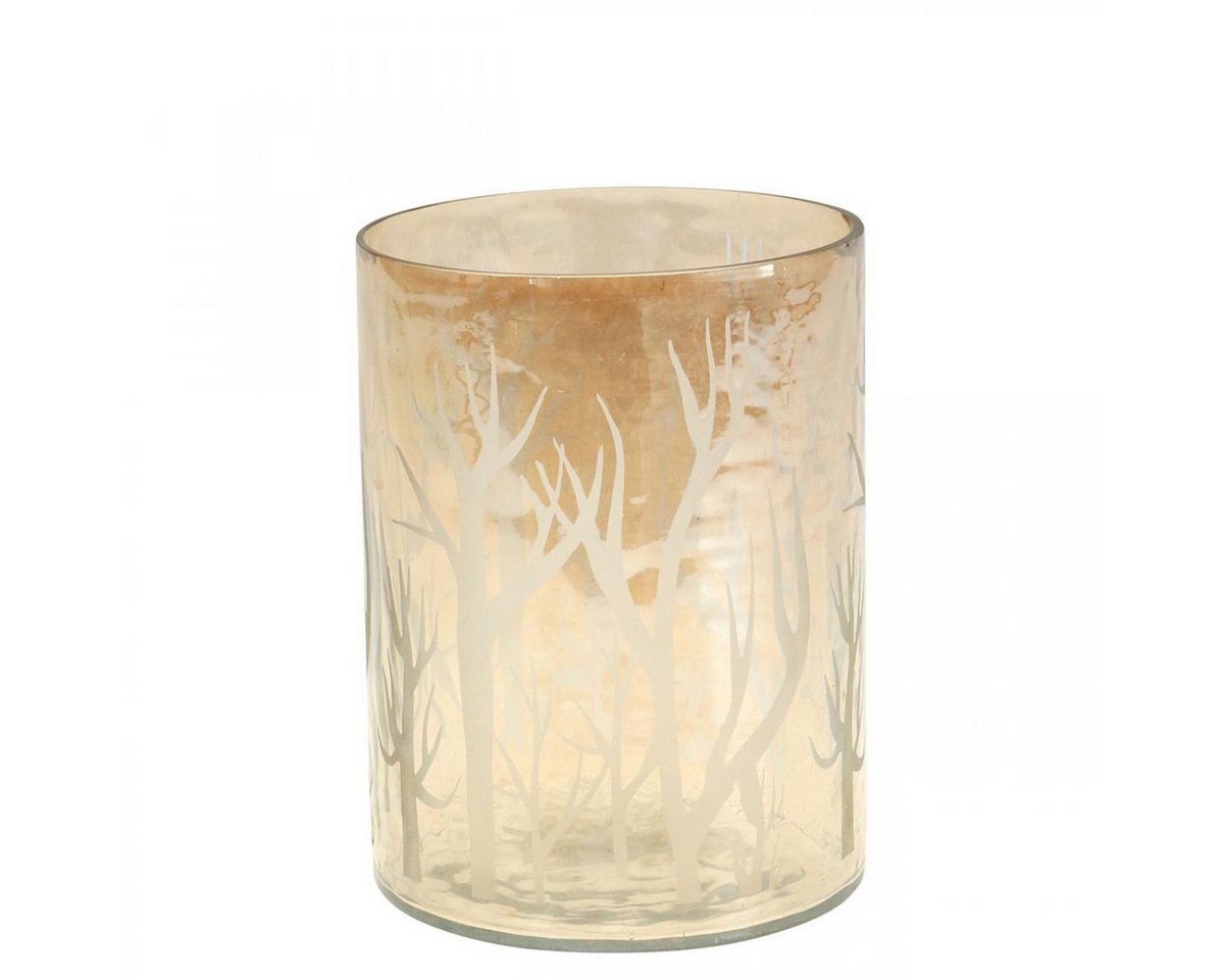 Viana Windlicht Windlicht Glas Teelicht Deko Bäume Herbst Braun Ø9,5cm H13,5cm von Viana