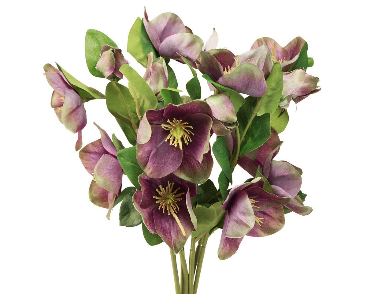 Winterliche Kunstpflanze Christrosen Kunstschnee Lila Dekoblumen Set 6 Stk, Weihnachten, Viana, Höhe 5 cm von Viana