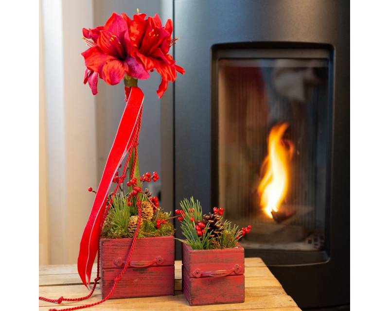 Winterliche Kunstpflanze Künstliche Amaryllis Rot Dekoblumen Ø18cm L68cm 2er-Set, Viana von Viana