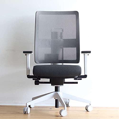 Viasit Toleo, ergonomischer Bürostuhl für Homeoffice und Büro Deutscher Hersteller, 3D-Sitztechnik, individuell anpassbar, grau, Netzrücken von Viasit
