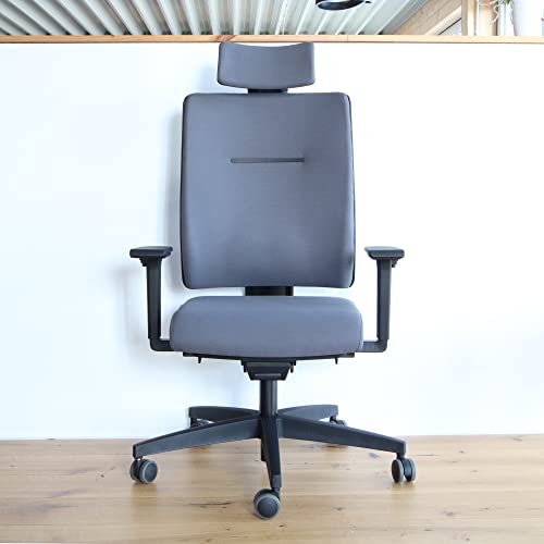 Viasit Toleo Pro NPR, ergonomischer Bürostuhl, ideal auch für Homeoffice, Deutscher Hersteller,150Kg, 3D-Sitztechnik, 4D-Nackenstütze, individuell anpassbar, Grau, Vollpolsterung von Viasit