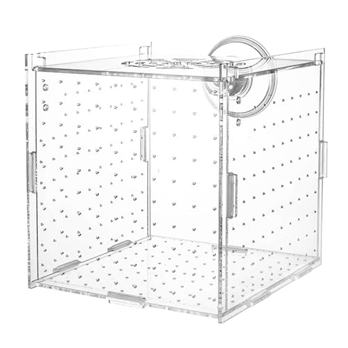 Aquarium Zuchtbox - Fischzuchtbox mit Saugnäpfen | Stabile Zuchtbox Mit Trennwand Für Eier Jungfische Guppys Skalare Antennenwelse Aquarium Zuchtbox - Fischzuchtbox mit Saugnäpfen | Stabile Zuchtbox Mit Trennwand Für Eier Jungfische Guppys Skalare Antennenwelse von Vibhgtf