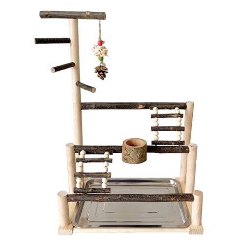 Bird Playground Stand - Vogelpapageien Klammer, interaktiver Vogelstand | Robuster Edelstahl -Vogelständer mit Leiter, Air -Release -Training Desktop -Ständer mit Spielbereich für Bird Brudg Bird Playground Stand - Vogelpapageien Klammer, interaktiver Vogelstand | Robuster Edelstahl -Vogelständer mit Leiter, Air -Release -Training Desktop -Ständer mit Spielbereich für Bird Brudg von Vibhgtf