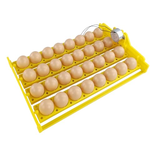 Inkubator-Tablett für 32 Eier, automatische Multifunktions-Inkubatoren, automatischer Eierhalter mit motorisierten Brutmaschinen, 42,7 x 42,9 cm von Vibhgtf