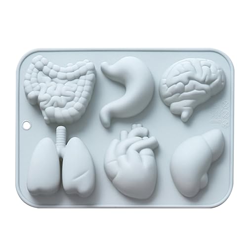 Körperorgan-Formen – Organ-Silikonform, Human Heart Brain Schokoladenform | Fondantform aus Schokolade mit 6 Hohlräumen für die Dekoration von Halloween-Kuchen, Cupcake-Süßigkeiten von Vibhgtf