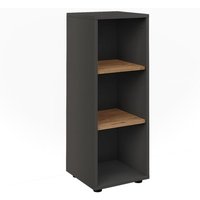 Midischrank Irma, Anthrazit/Artisan, 30 x 81 cm mit 3 Ablagefächern, Vicco Midischrank Irma, Anthrazit/Artisan, 30 x 81 cm mit 3 Ablagefächern, Vicco von Vicco
