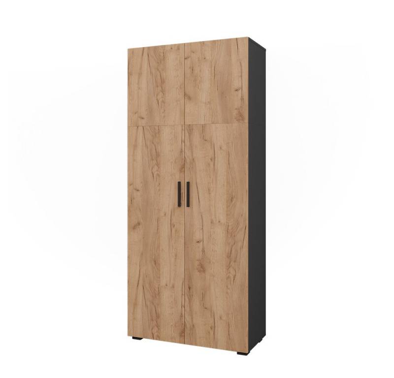 Vicco Aktenschrank Frank, Anthrazit/Goldkraft Eiche, 80 x 183.8 cm von Vicco