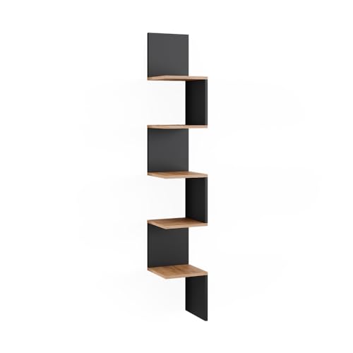 Vicco Eckregal Paolo, Bücherregal, Anthrazit, 28 x 175.4 cm mit 5 Fächern von Vicco