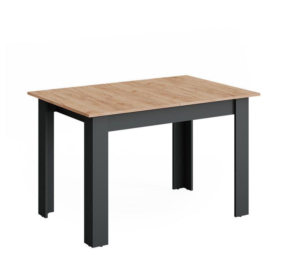 Vicco Esstisch Repose, Anthrazit/Goldkraft Eiche, 160 x 80 cm ausziehbar Vicco Esstisch Repose, Anthrazit/Goldkraft Eiche, 160 x 80 cm ausziehbar von Vicco