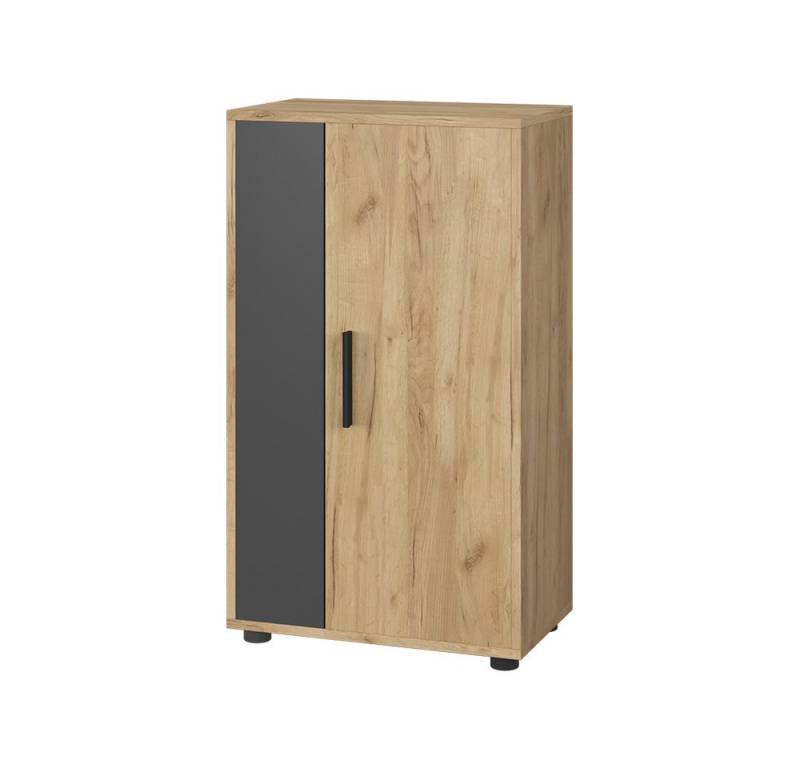 Vicco Highboard Berno, Goldkraft Eiche/Anthrazit, 50.1 x 87.3 cm mit 2 Fächern von Vicco