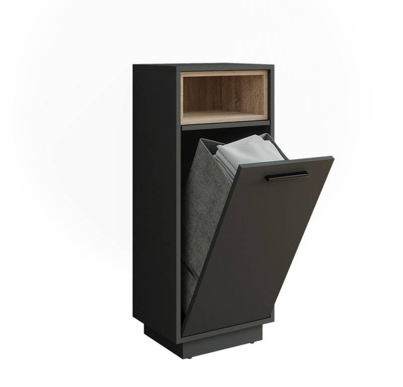 Vicco Wäscheschrank Beatrice, Anthrazit/Sonoma, 38 x 93 cm mit herausnehmbarer Innentasche Vicco Wäscheschrank Beatrice, Anthrazit/Sonoma, 38 x 93 cm mit herausnehmbarer Innentasche von Vicco