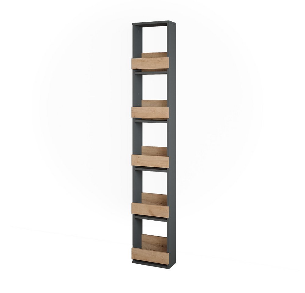 Vicco Weinregal Repose, Goldkraft Eiche/Anthrazit, 30 x 180 cm Vicco Weinregal Repose, Goldkraft Eiche/Anthrazit, 30 x 180 cm von Vicco