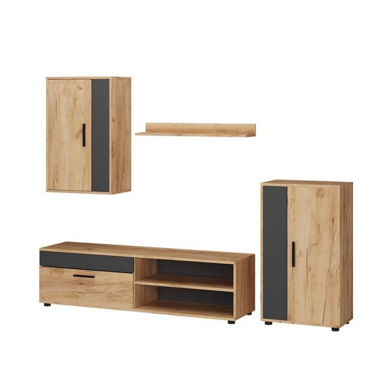 Vicco Wohnwand Berno, Goldkraft Eiche/Anthrazit, 4er Set, (4-St., 4-er Set) von Vicco