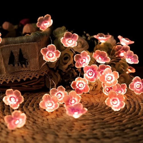 Vicloon LED Lichterkette Kirschblüten, 2M Lichterkette Blumen Girlande mit 20 LED-Licht mit Blumengirlande, Lichterketten Deko für Innen, Garten Bäume, Festival, Party Vicloon LED Lichterkette Kirschblüten, 2M Lichterkette Blumen Girlande mit 20 LED-Licht mit Blumengirlande, Lichterketten Deko für Innen, Garten Bäume, Festival, Party von Vicloon