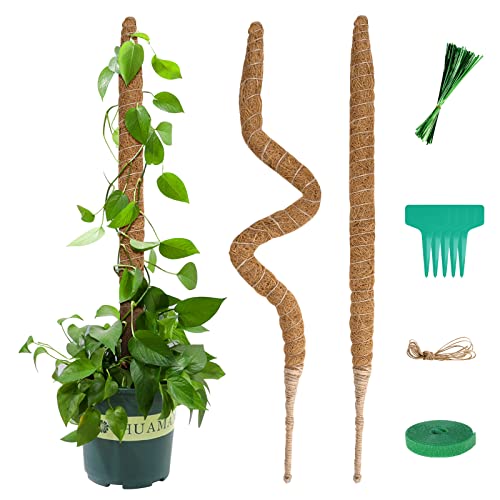 Vicloon Moosstab Rankhilfe, 2 Stück 70CM Kokos Monstera, Kokos Rankhilfe, Rankhilfe Moosstab Pflanzenstab Monstera,mit 5 Pflanzenetikett, 1 Rolle Klettverschluss, 94 Seile, 2 Meter Hanfseil von Vicloon