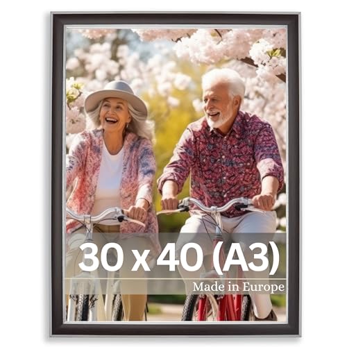 VictoR Bilderrahmen Monet Braun Silber in 30x40 cm, Leiste 23x13mm, im Vintage/Art Deco Stil von VictoR