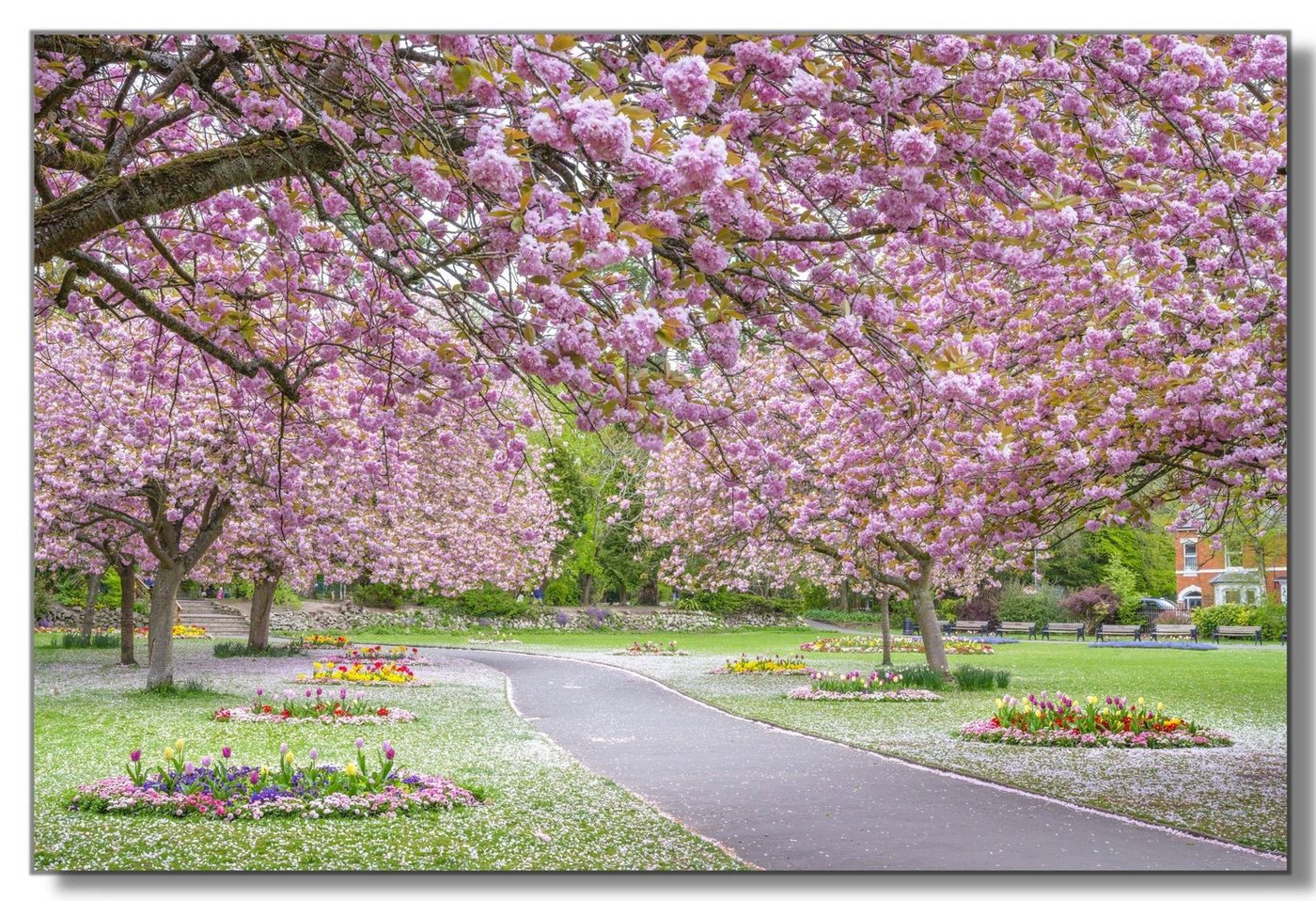 Victor (Zenith) Acrylglasbild Blüten im Park, Landschaften, in 60x90 cm, Glasbilder Blumen, Wohnzimmer & Schlafzimmer von Victor (Zenith)